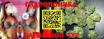 спиды Краснодар