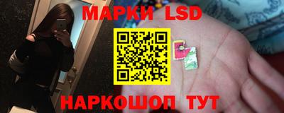 спиды Краснодар