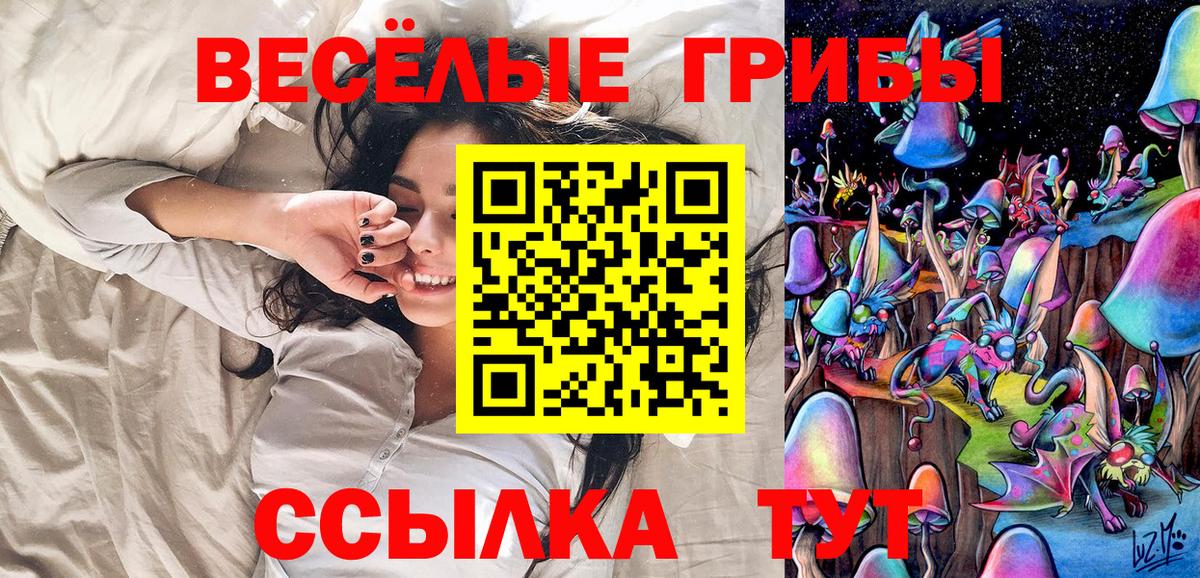Щёлково  Галлюциногенные грибы Cubensis  Вход с VPN 