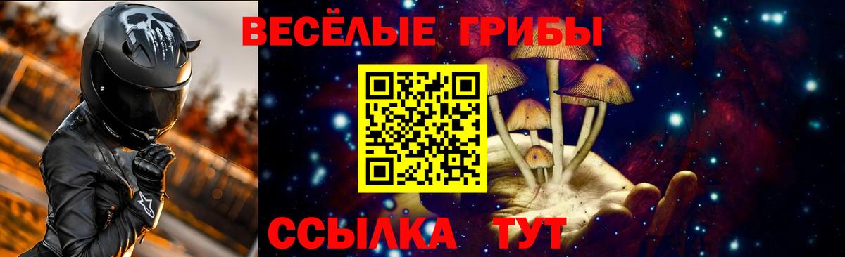 Псилоцибиновые грибы мицелий Щёлково