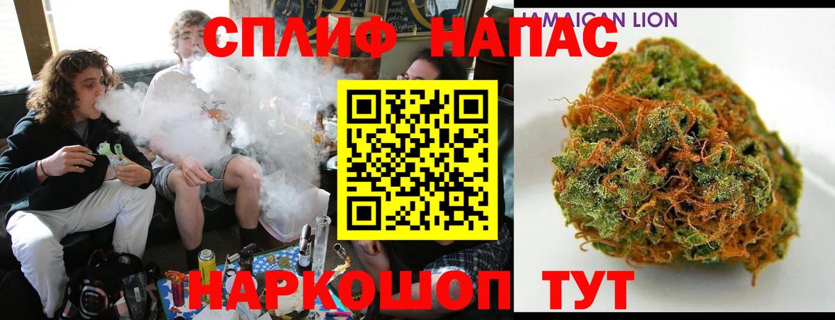 Бошки Шишки планчик Щёлково